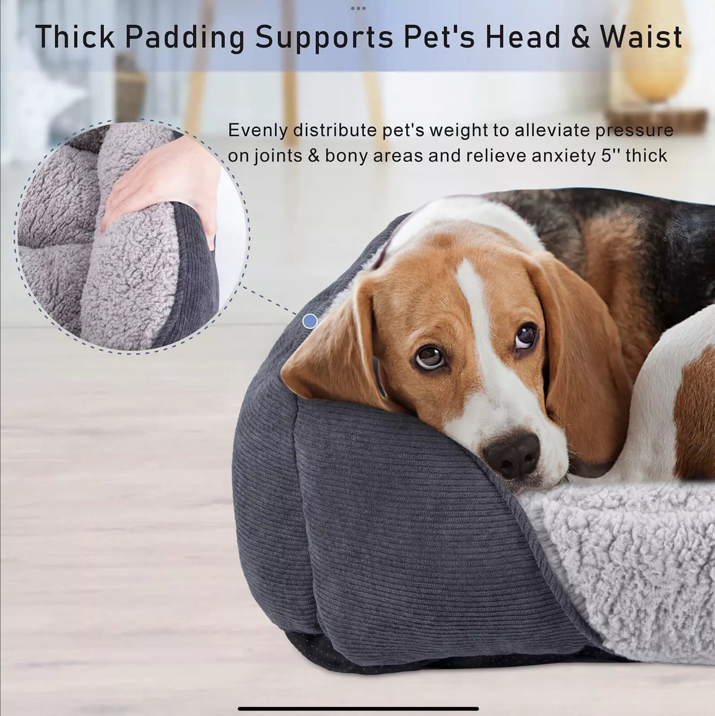 JoeJoy Dog Bed (Medium)