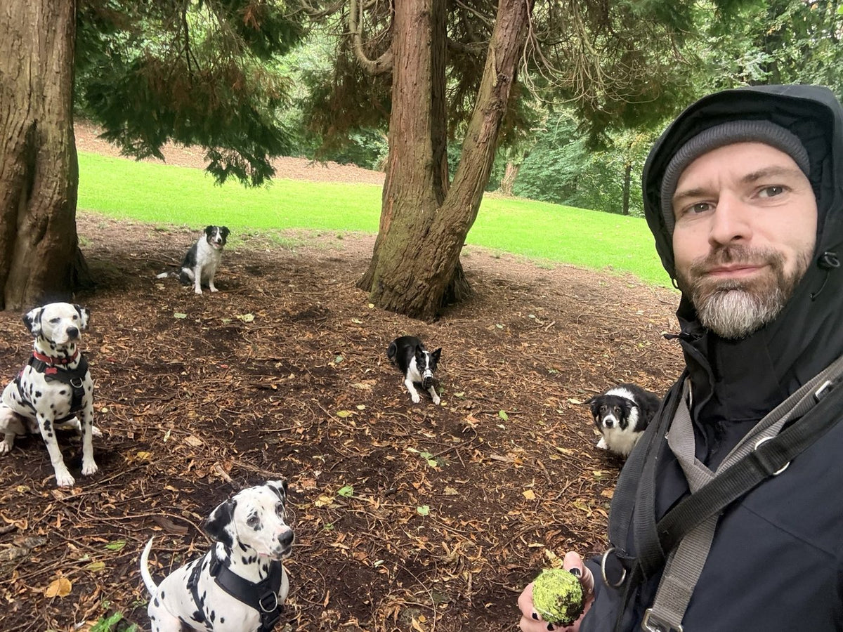 Gary Fraser of Doug Walkers with a group of dogs on a woodland walk in Scotland