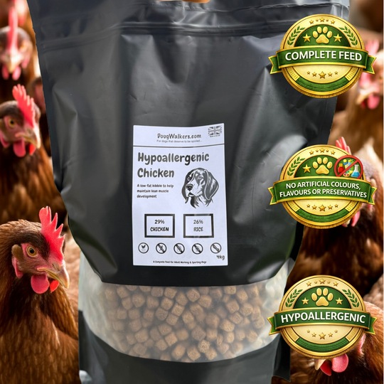 Hypoallergenic Chicken Dog Food - 4kg