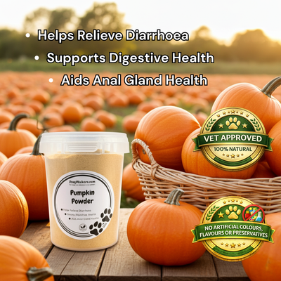 Pumpkin Powder for Dogs - 200g