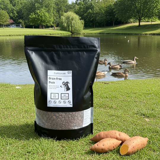 Grain-Free Duck (50% Poultry) 4kg