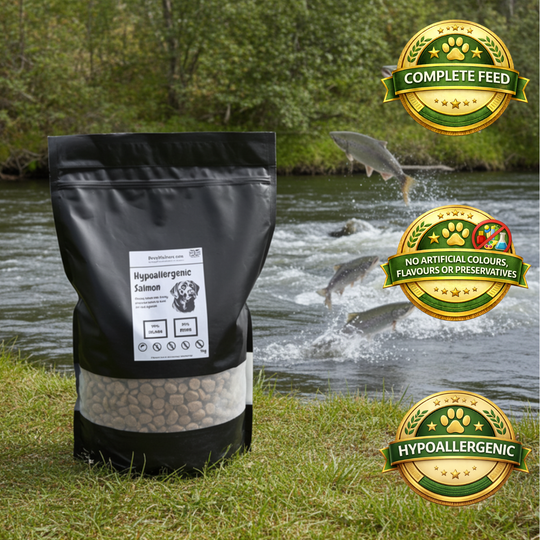 Hypoallergenic Salmon Dog Food - 4kg