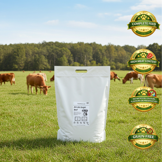 Deluxe Grain-Free Grass-Fed Beef Dog Food - 4kg