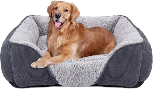 JoeJoy Dog Bed (Medium)