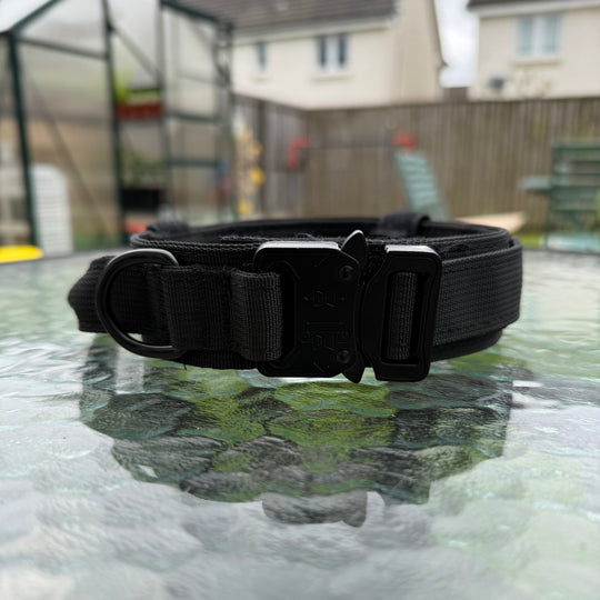Heavy Duty Collar