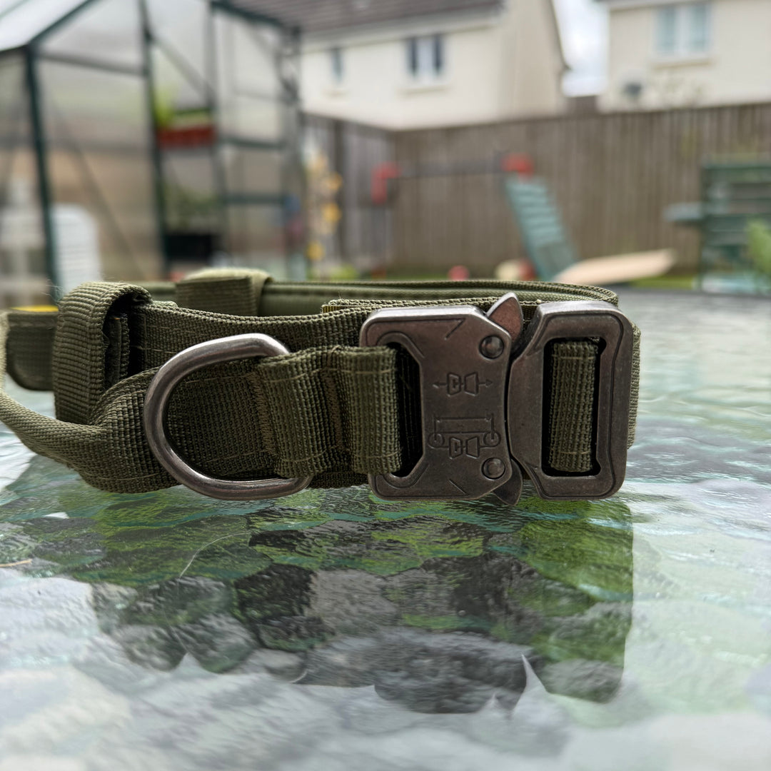 Heavy Duty Collar