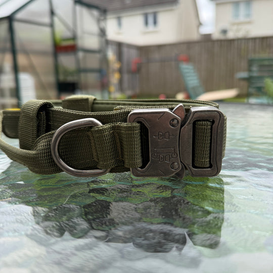 Heavy Duty Collar