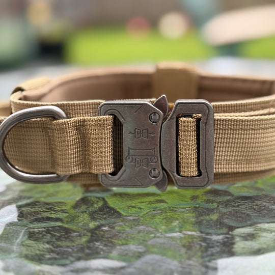 Heavy Duty Collar