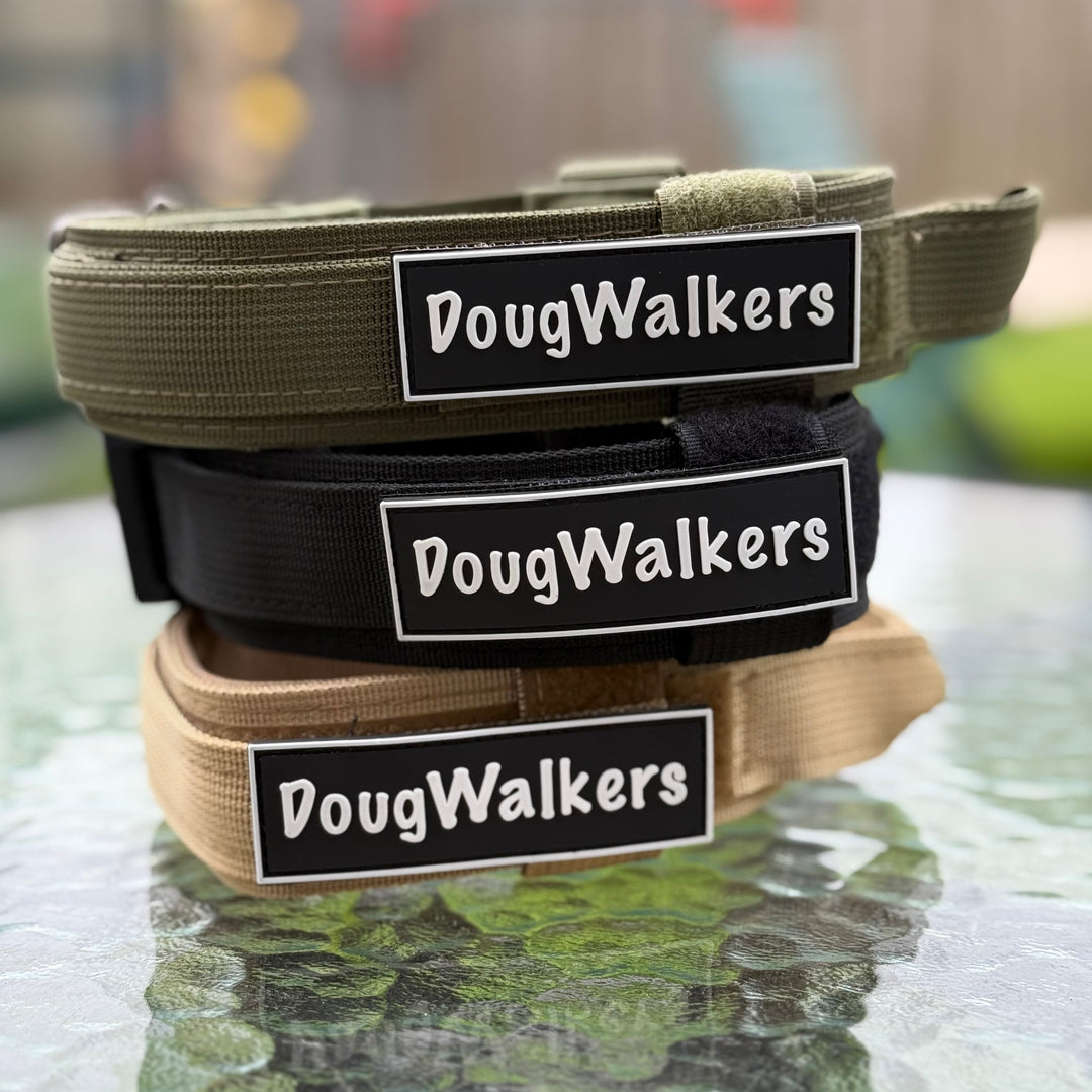 Heavy Duty Collar
