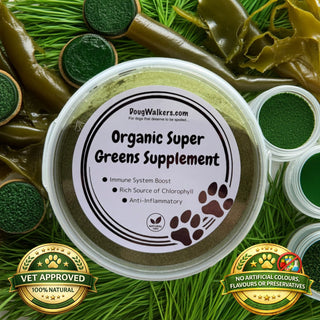 Organic Super Greens Supplement for Dogs - 80g