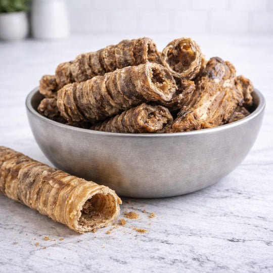 Beef Trachea for Dogs UK – Natural Dental Chew - Doug Walkers
