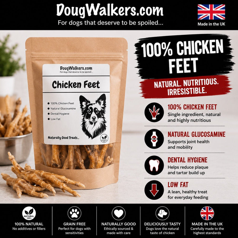 Chicken Feet for Dogs UK – Natural Dental & Joint Support - Doug Walkers