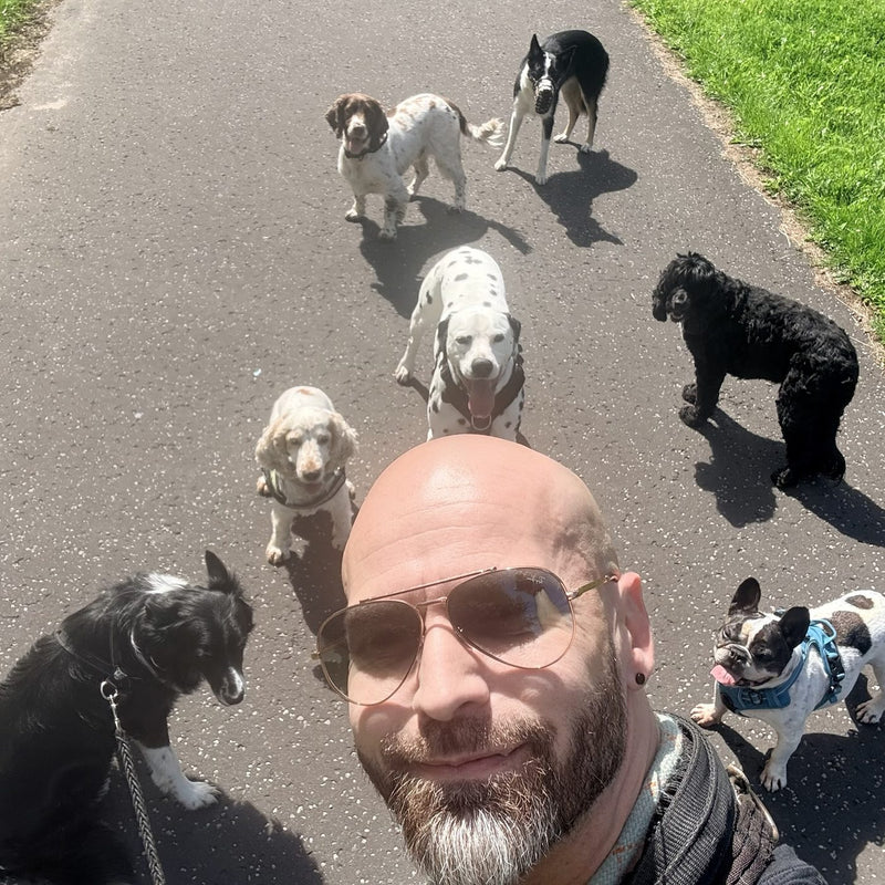 Gary Fraser of Doug Walkers with dogs on a professional group walk