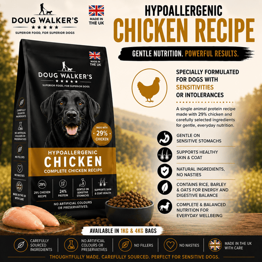 Hypoallergenic Chicken Dry Dog Food UK – Sensitive Digestion Formula - Doug Walkers
