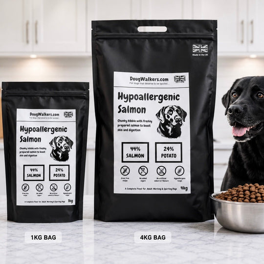 Hypoallergenic Salmon Dog Food UK 4kg – Skin &amp; Coat Support Formula - Doug Walkers