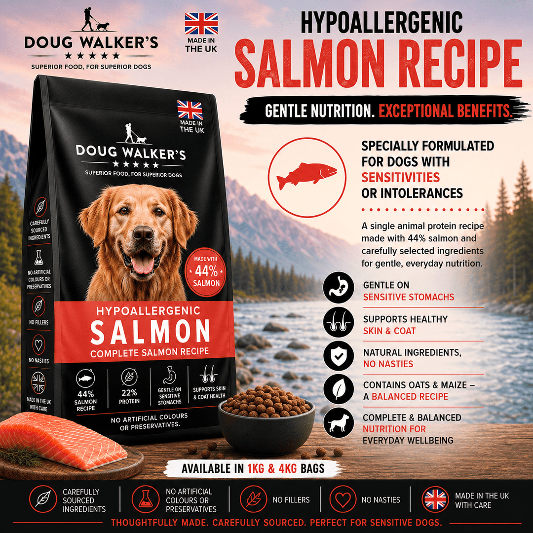 Hypoallergenic Salmon Dry Dog Food UK – Skin & Coat Support Formula - Doug Walkers