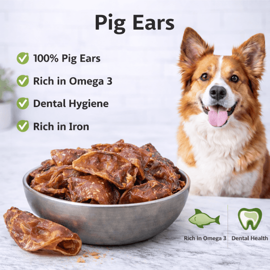 Natural Pig Ears for Dogs UK – 4 Pack - Doug Walkers