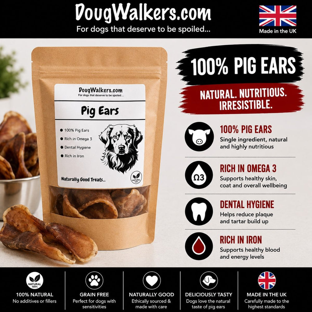 Natural Pig Ears for Dogs UK – Long-Lasting Dental Chew - Doug Walkers
