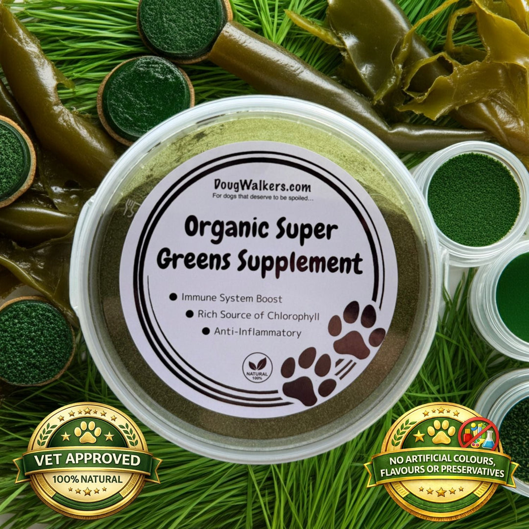 Organic Super Greens Supplement for Dogs - 80g - Doug Walkers