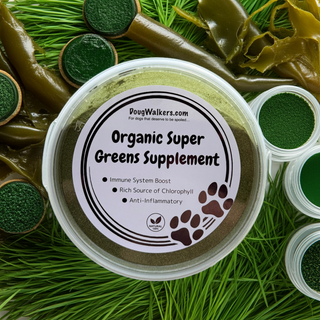 Organic Super Greens Supplement for Dogs - 80g